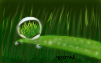 Grass' mirror v 2.1