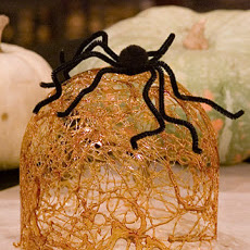 Jacques' Sugar Cage
