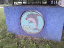 Olympic Dolphin