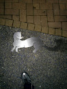 Fox Walkway Art