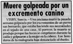 Imagen13