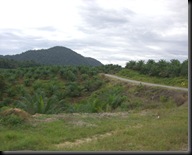 01 Drive to Taman Negara (2)
