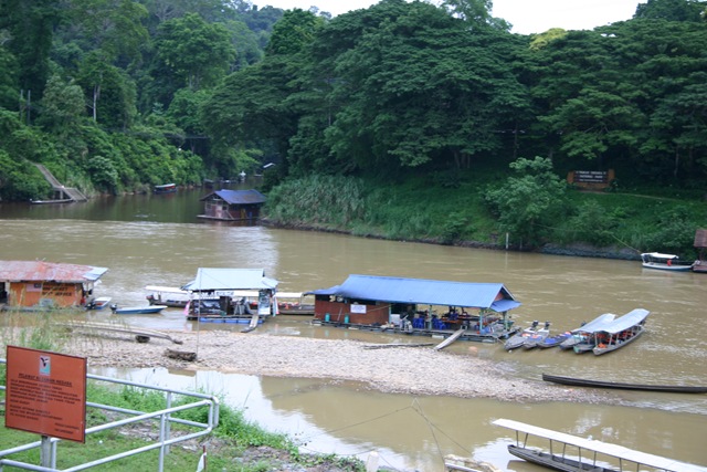 [01 Drive to Taman Negara (31)[3].jpg]