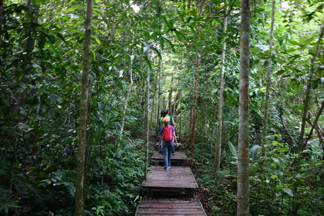 [03 Canopy Walk (48)[1].jpg]