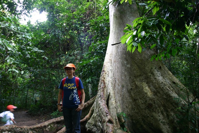[03 Canopy Walk (105).jpg]