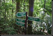 03 Canopy Walk (124)