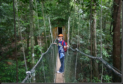 03 Canopy Walk (157)