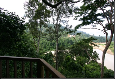 03 Canopy Walk (135)