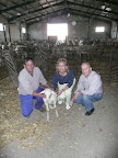 Entrega del borrego