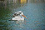 DSC_0611.JPG