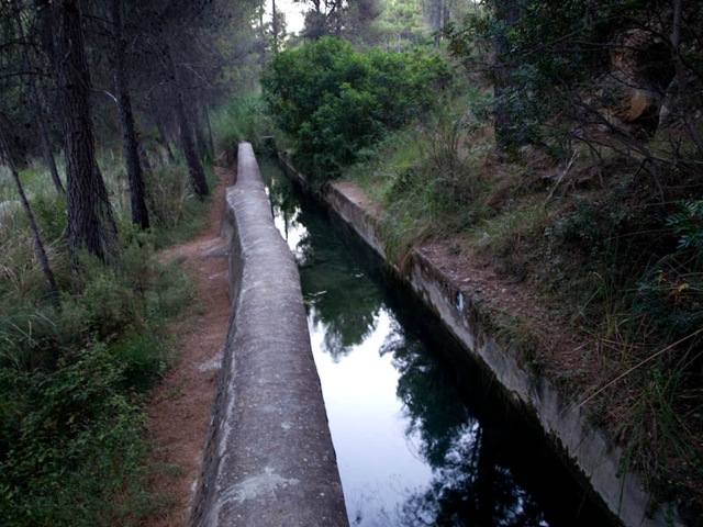 [Alharabe (2 of 12)[6].jpg]