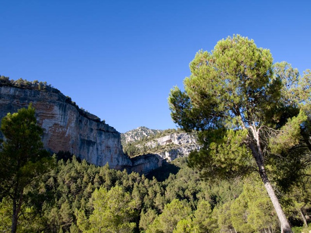 [Alharabe (9 of 12)[4].jpg]