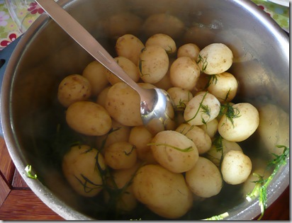 sommar_nypotatis