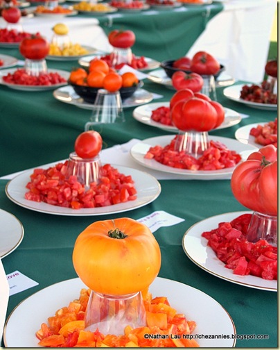tomatofest tasting table