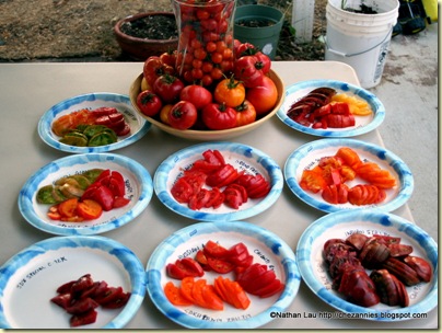 homegrown heirloom tomatoes