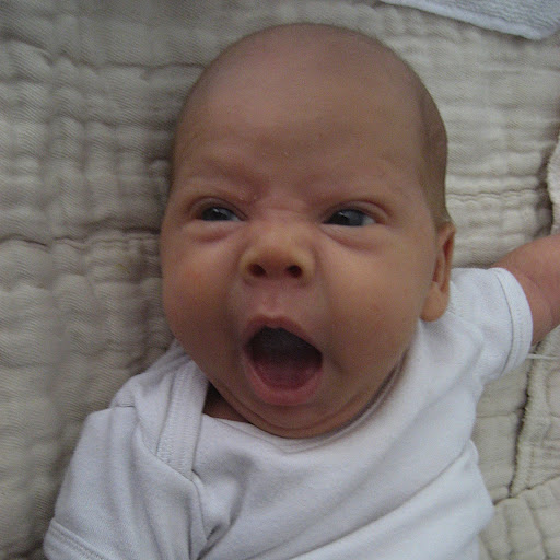 Teo face