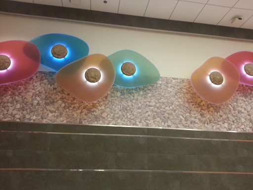 Cells in KU Medical Center Lobby