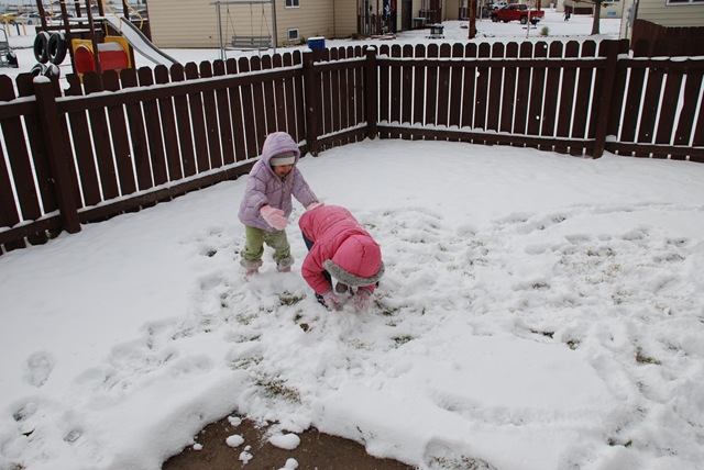 [DSC_0008[3].jpg]