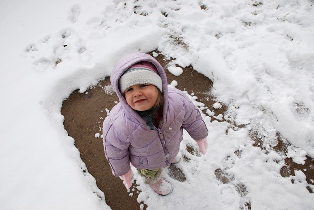 [DSC_0009[3].jpg]