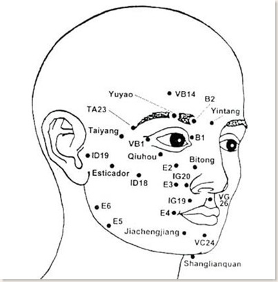 anatomia facial-jpg