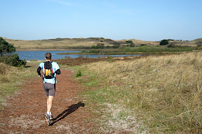 Vogelmeer - Parcours Ganzelveldwandeling (bleu, 10.5km) et Baaknolwandeling (jaune, 8.5 km) - Groet Schoorl Forêt et Dunes