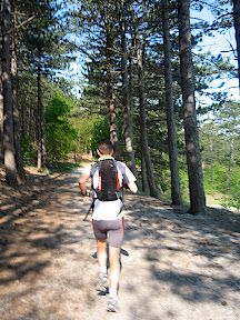 Parcours Ganzelveldwandeling (bleu, 10.5km) - Groet Schoorl Forêt et Dunes