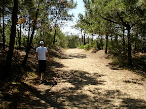 Vigne Américaine, Saint Trojan, île d'Oléron