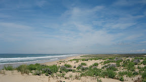 La Grande Plage, Saint Trojan, île d'Oléron