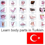Learn Body Parts in Turkish Apk