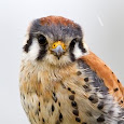 Seven Islands Wildlife Refuge