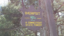 Shenipsit Forest