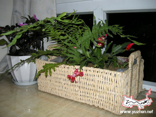http://lh4.ggpht.com/licoriceyu/SQMK8W2P2aI/AAAAAAAACas/AU7qGfUSA9w/s800/DSCN2886%202.jpg