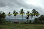 View from area next to Makam Mahsuri View from area next to Makam Mahsuri