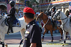 Horse Unit Horse Unit