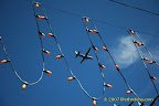 Army Planes Army Planes