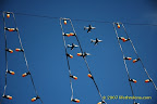 fighter jets fighter jets