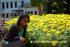 yellow sea yellow sea