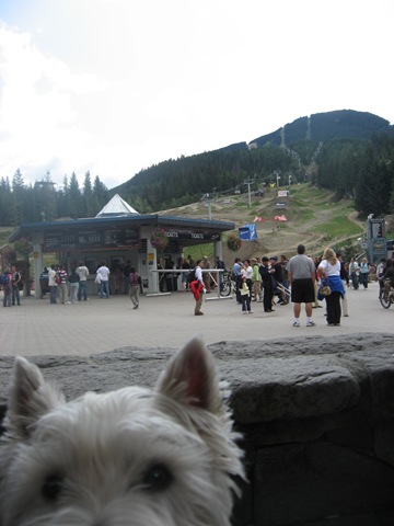 [2008 Whistler 004[2].jpg]