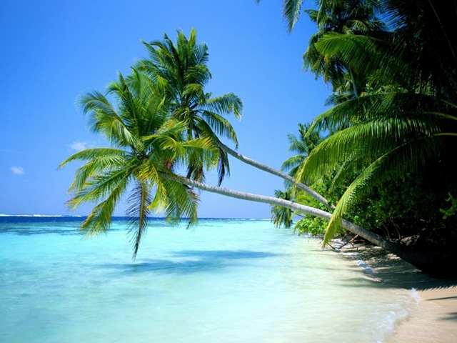 [Playa_paradisiaca[4].jpg]