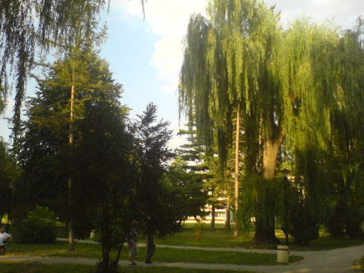 Soko banja Soko+Banja,Park+3