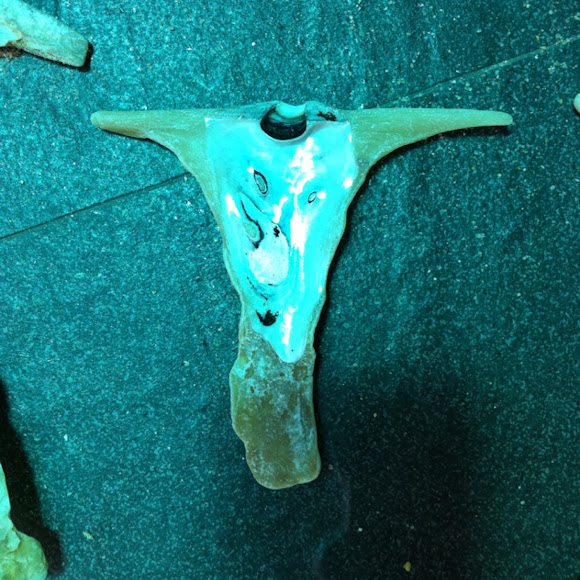 Spotting Image 1