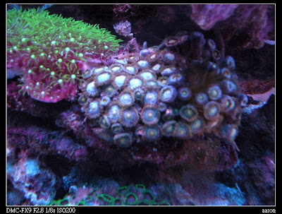 P1030925%20132.jpg