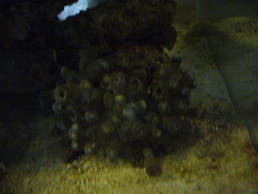 P1030953%20527.jpg