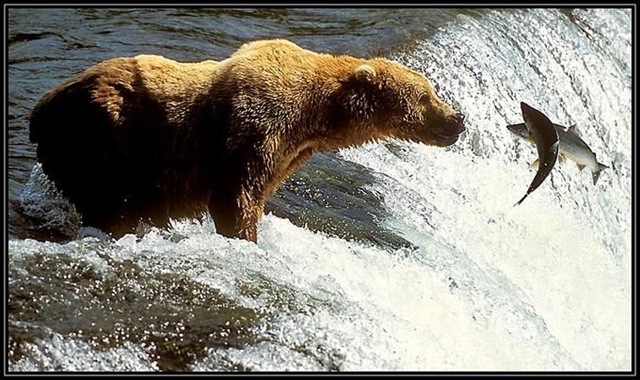 [cacadores_002[3].jpg]