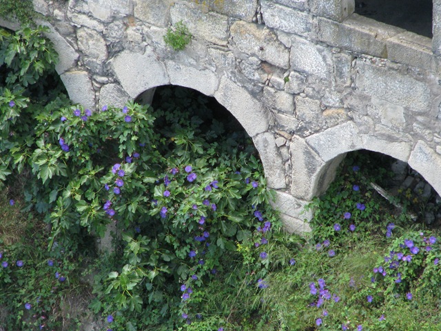 [2008.06_porto_pilar_fontainhas_067[3].jpg]