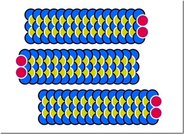 dordecabeca09