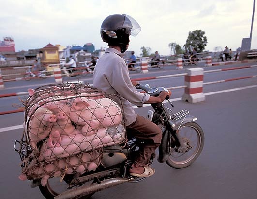 [mota_transporte_03[3].jpg]