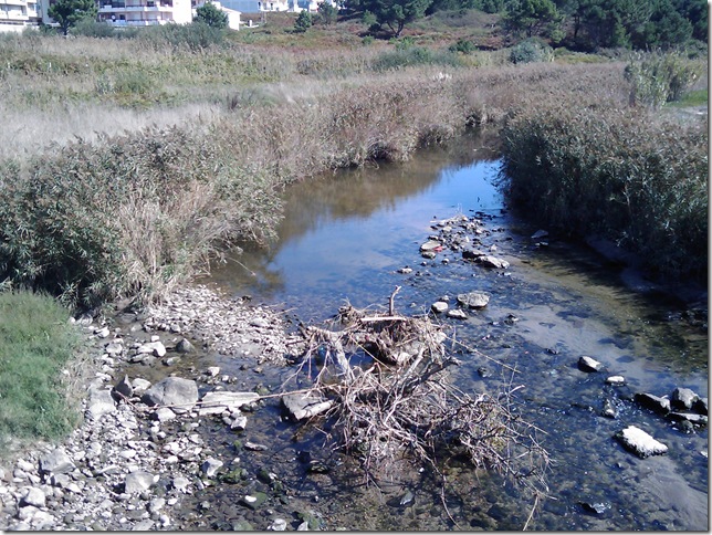 2008.09_riacho_04