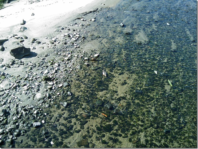 2008.09_riacho_03
