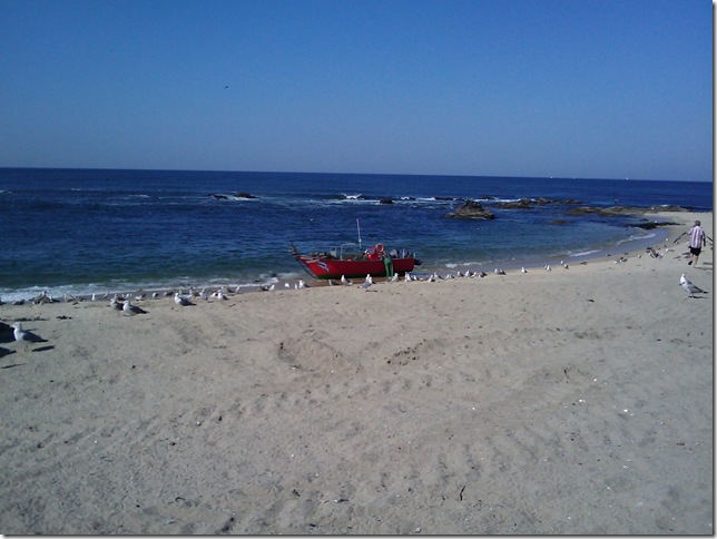 2008.09_praia_de_angeiras_04
